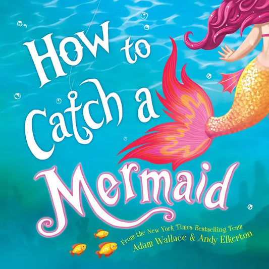 How to Catch a Mermaid - Hardcover