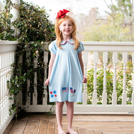 Patriotic Pleat Embroidery Dress