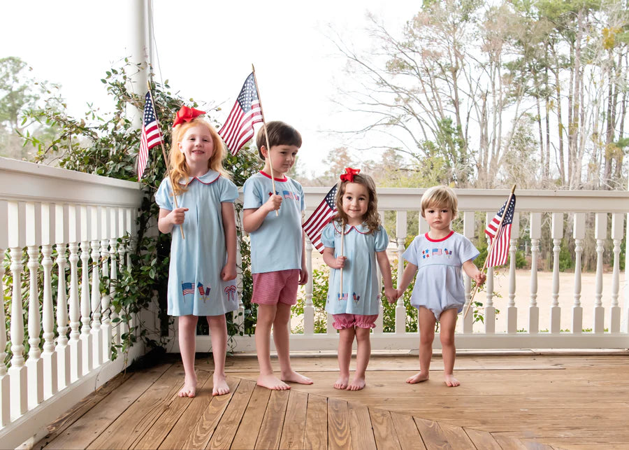 Patriotic Pleat Embroidery Dress