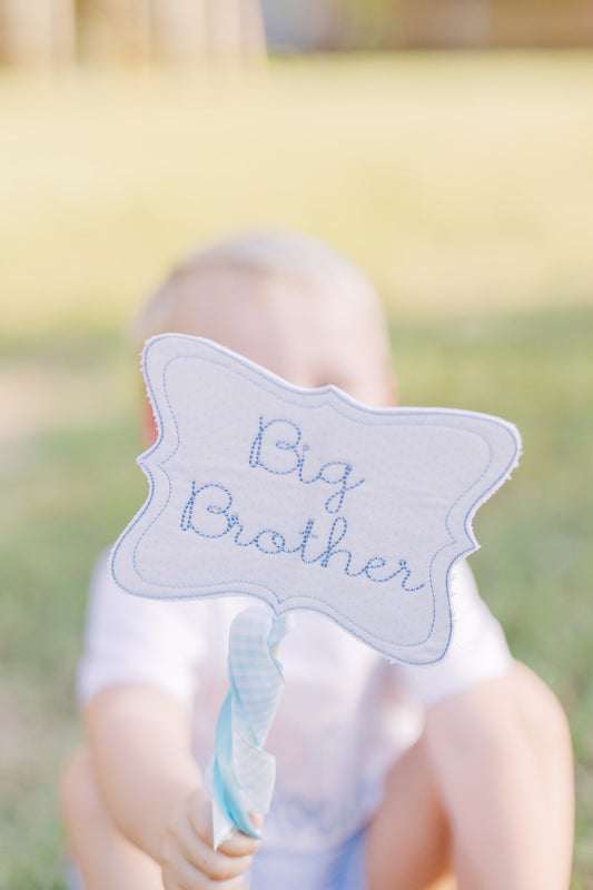 Big Brother Pennant