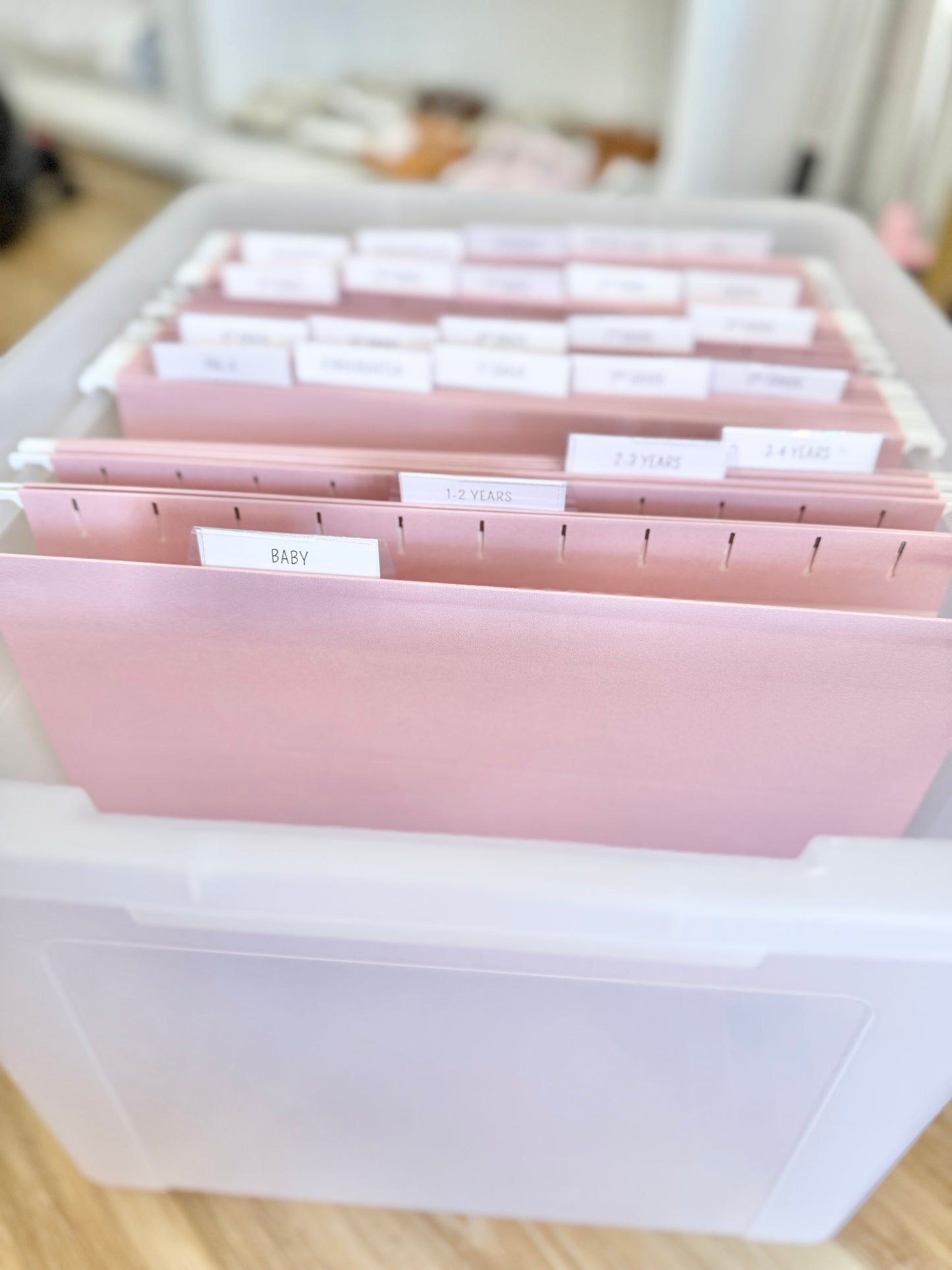 Milestone Tote Organizer- Pink Tabs